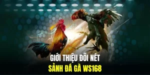 gioi-thieu-sanh-da-ga-ws168